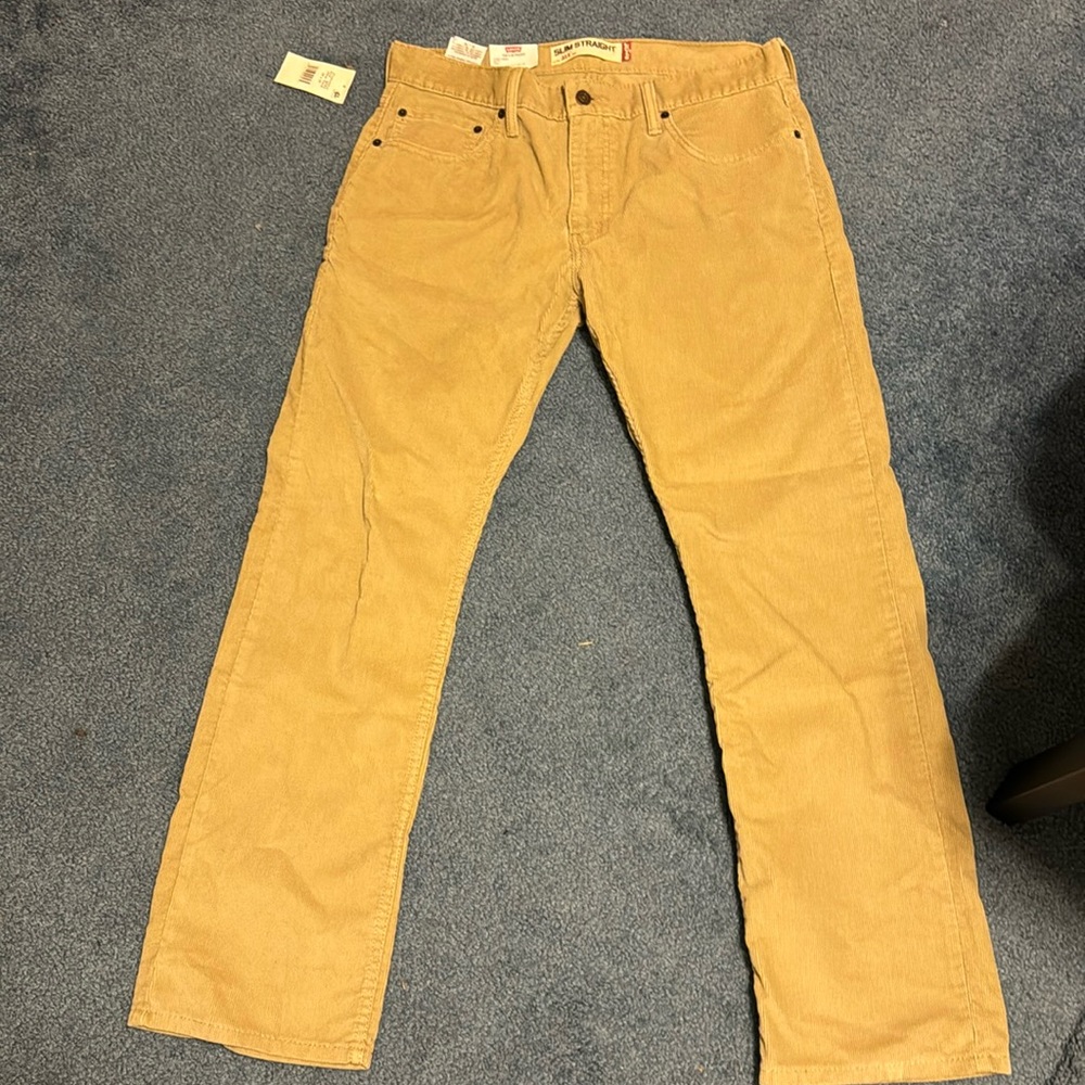 Levi’s Slim Straight pants